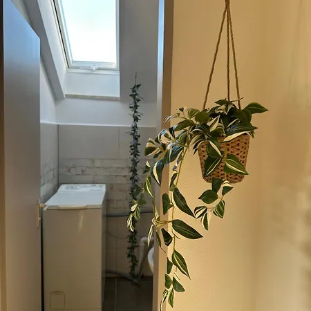 Kunterbunt Apartment *