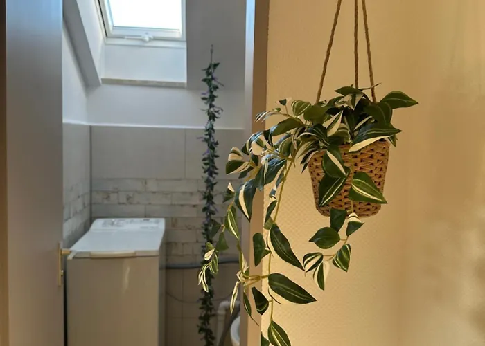 Kunterbunt Апартаменты *